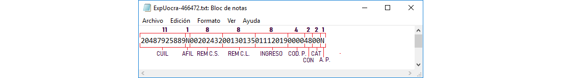 Reporte